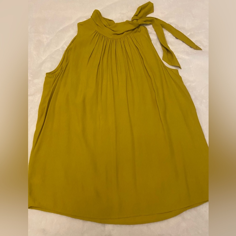 Ann Taylor top